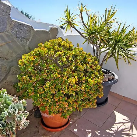 Casa Ewa Sol, Costa Calma, Meerblick Apartmán Costa Calma